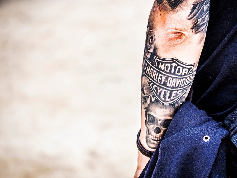 Ambiente Gente Concierto Festival