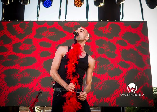 Los Autenticos Farsantes